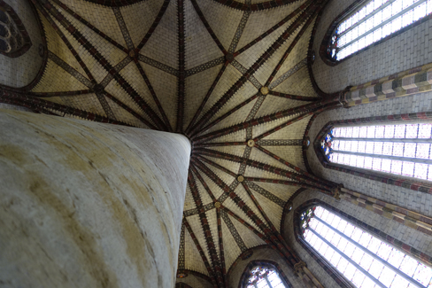 le palmier des Jacobins
